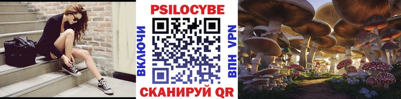 Галлюциногенные грибы Cubensis купить наркоту Юрьев-Польский