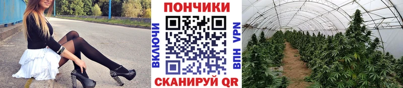 продажа наркотиков  Юрьев-Польский  Каннабис LSD WEED 